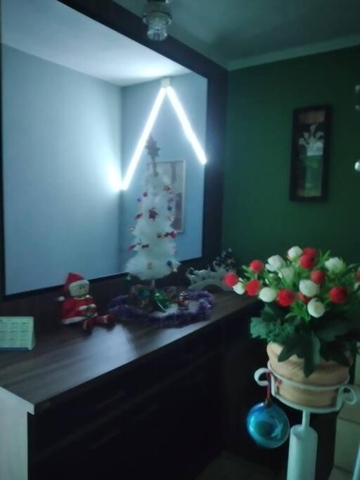 Casa Em Pomerode_Sc エクステリア 写真